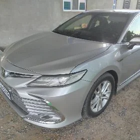 Toyota Camry 2019