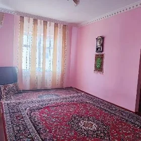 ARENDA DOSAF ‍️