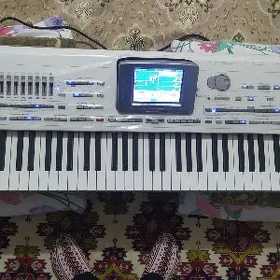 Korg pa x2 pro