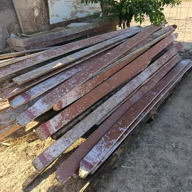pol agaç
