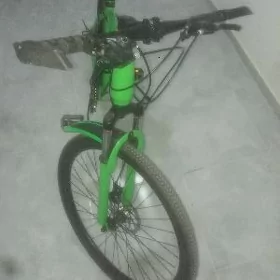 Turkmenistan tigir