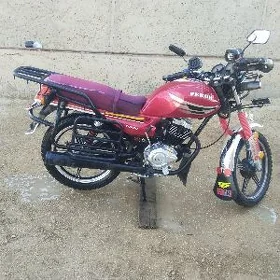 Fekon FK200-14G 2026