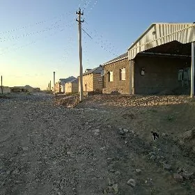 satlyk jay