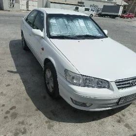 Toyota Camry 1999
