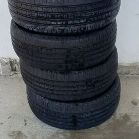 R16 lyk