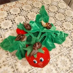 Улитки Ахатины