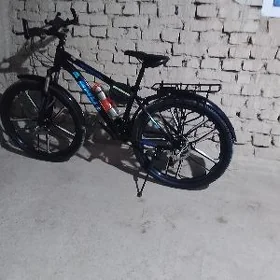 BMW TIGIR
