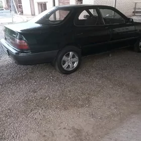 Toyota Windom 1993