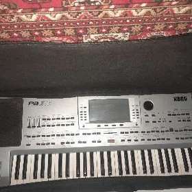 KORG Pa 80