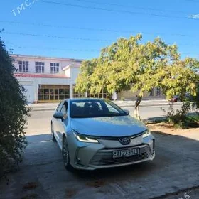 Toyota Corolla 2020