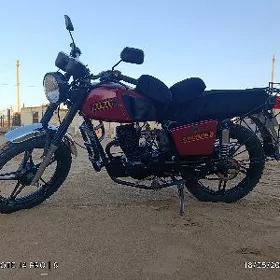 Fekon FK150-8G 2019