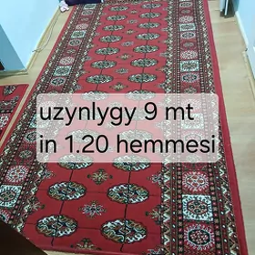 haly awadan 1nji sort