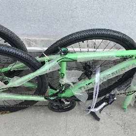 turkmenistan tigir