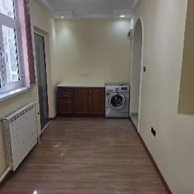 Mir1