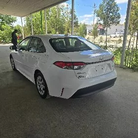 Toyota Corolla 2023