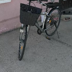 YAPON TIGIR