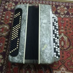 Баян