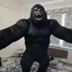 Miska GARİLLA