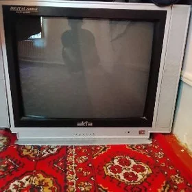 Telewizor
