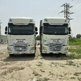 DAF 480 2019