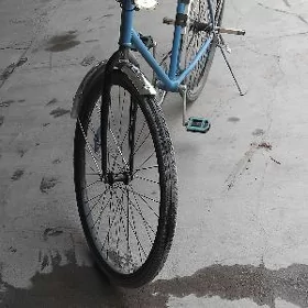 welsopet