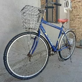 TIGIR 28LIK