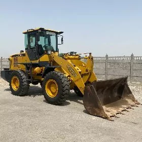 XCMG LW300F 2014