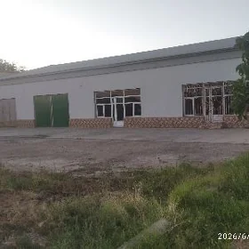 ARENDA
