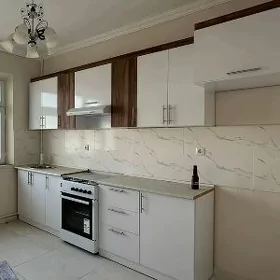 arkach kotej kuhnya mebel