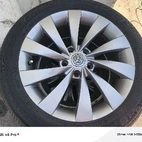 17lik dysga pakryşka