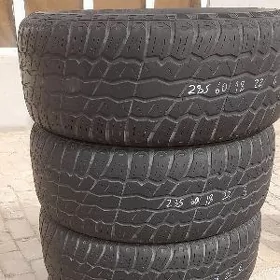 pakrişga 285 60 18