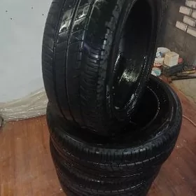 205.55.16