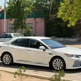 Toyota Camry 2020
