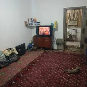 Arenda Jay Maşgala uçin