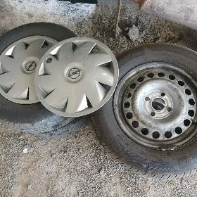 14 opel teker gara dysga kalp