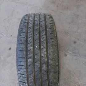 245/55/19