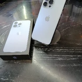 iPhone 13pro