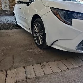 Toyota Corolla 2021