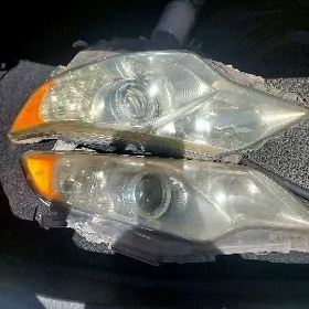 Palta cemry onki çyrasy
