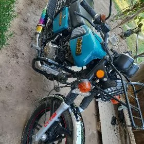 Fekon FK200-14G 2025