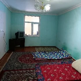 квартира 206а