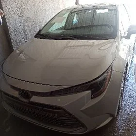 Toyota Corolla 2024