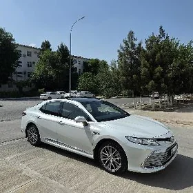 Toyota Camry 2023