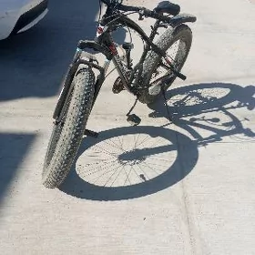 Velosopet