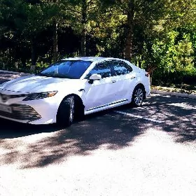 Toyota Camry 2019