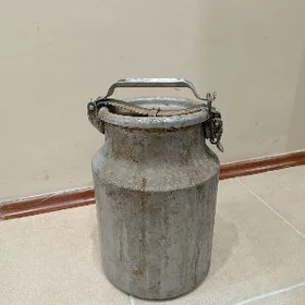 Filyak kiçi ( CCC P )