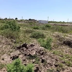satlyk mellek