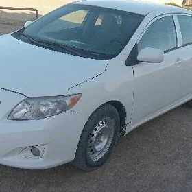 Toyota Corolla 2010