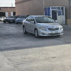 Toyota Corolla 2010