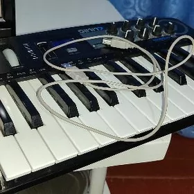 midi keyboard sinn7 25